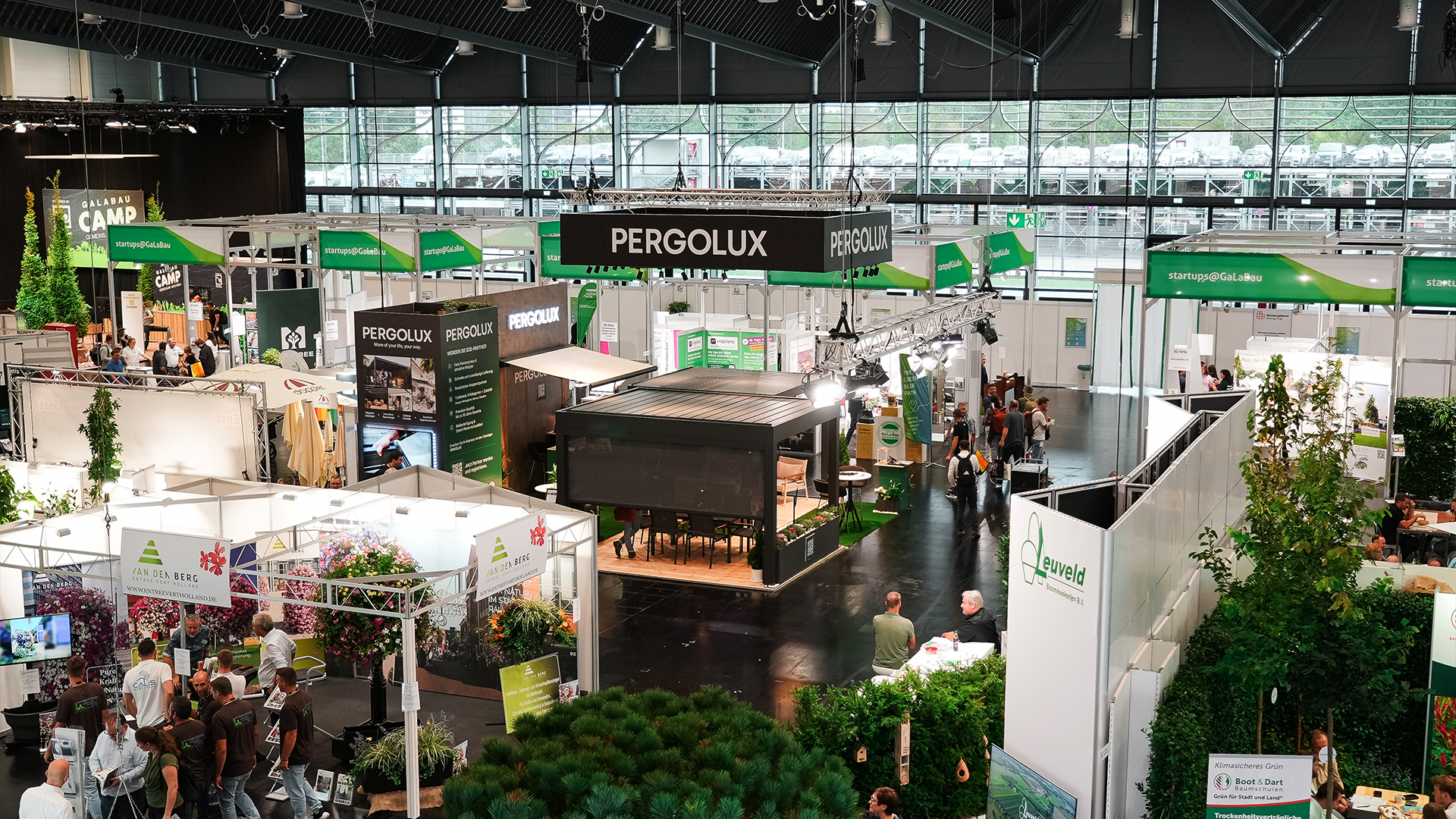 Pergolux